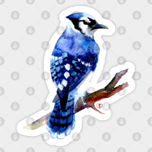 Blue Jay Blue Jay Bird Sticker TeePublic